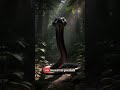 La Serpiente Negra Sureña.