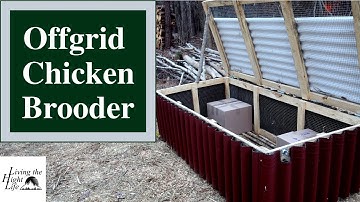 BUILDING AN ELECTRICITY FREE CHICK BROODER! Preparing for chicks to come to our offgrid homestead