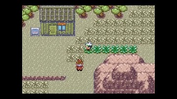 Pokémon Emerald Walkthrough Part 14: Travelling Under a Cloud