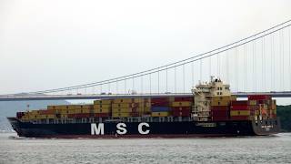 Container Ship《MSC NEW JERSEY Ⅲ》Passing  the Tsing Ma Bridge in HK 20260907_C0027