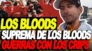 SUPREMA DE LOS BLOODS: GUERRAS CARCELERAS EN LAS PRISIONES DE EE.UU. & ENFRENTAMIENTOS CON LOS CRIPS screenshot 3