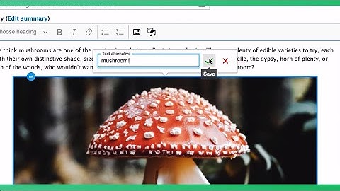 CKEditor 5 demo at DrupalCon North America 2021 by Peter Weber