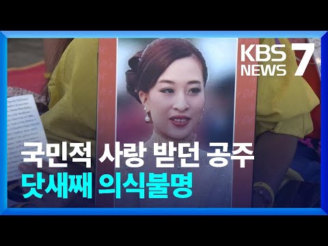   태국 파 공주 닷새째 의식불명 왕위 계승 안갯속으로 KBS 2022 12 19