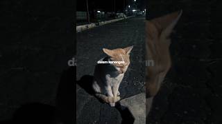 Download Lagu Duka x Masing - masing//story wa//story sad #fyp #fypシ゚viral #sadstory #galaubrutal #sadvibes MP3