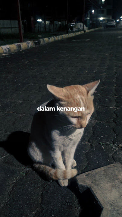 Duka x Masing - masing//story wa//story sad #fyp #fypシ゚viral #sadstory #galaubrutal #sadvibes
