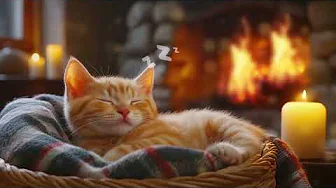 Harmony of Fur and Feather - Douceur de Lumière - Healing Cat Music(Official Audio)