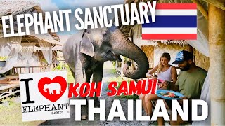 Thailand Adventure: Up Close with Elephants at 'I Love Elephant' Sanctuary in Koh Samui!