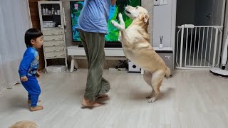 Retriever Trying To Stop Her Embarrassing Aunt