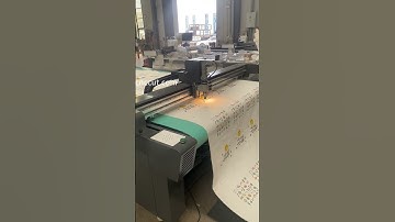 CNC Cutter with CCD for Cutting Fabric