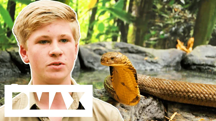 Robert Irwin Captures Worlds Most Venomous Snake F...