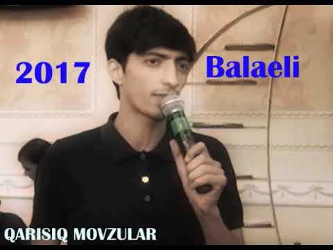 Balaeli qemli seir 2018