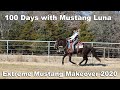 100 Days with Mustang Luna | 2020 Extreme Mustang Makeover