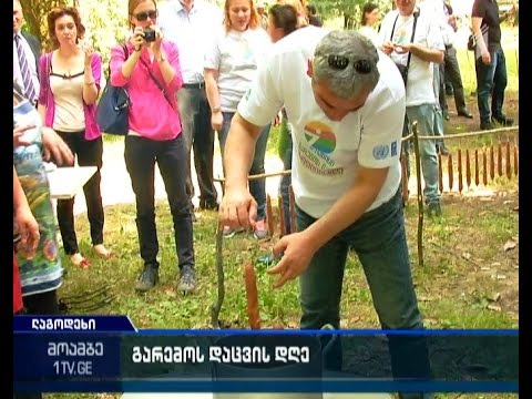 ლაგოდეხში გარემოს დაცვის საერთაშორისო დღე აღნიშნეს
