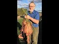 Whopper 12 1/2 pound sweet potato in Amish Country, Lancaster County, PA. USA