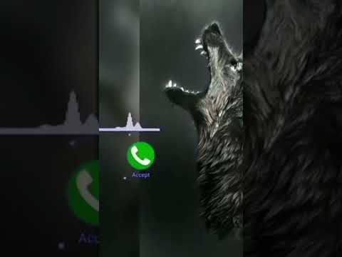 New Islamic Ringtone Arabic Ringtone Turkish Ringtone Arabic Ringtone Ringtone 2023 