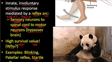 BIOL 130 Lecure 5 Innate Behaviors