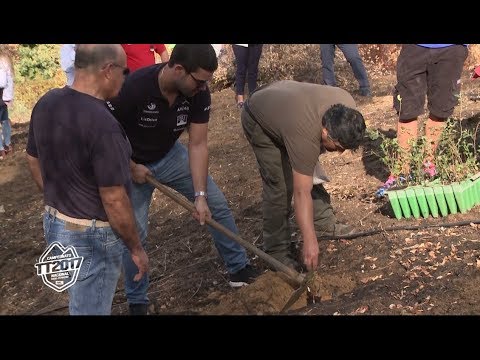 Plantação de Árvores no Gavião - Baja Portalegre 500