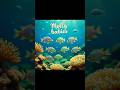 Fishy Surpise/Molly new babies#mollyfish#breeding#fish#petvlog