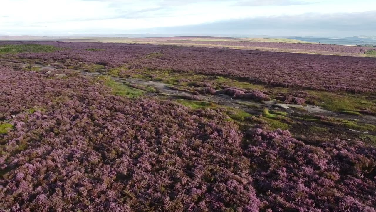 Ox Stones and trig point on Burbage Moor with Stanage Edge in the distance in the Peak District.