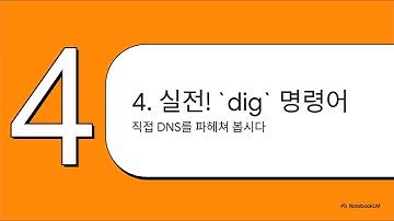 [CTF] DNSSEC 파헤치기  5분 완성
