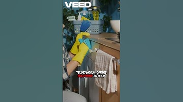 Declutter Your Life Today