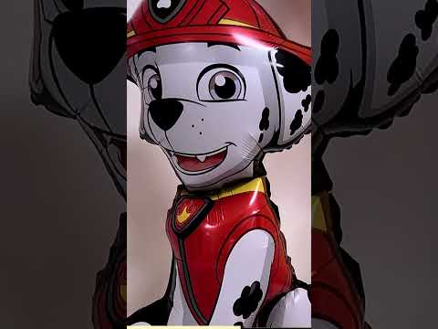 Paw Patrol Birthday Party With Alessa Land #pawpatrolbirthday #pawpatrolbirthdaycake