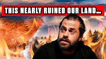 What I Wish I Knew Before Getting Farm Animals