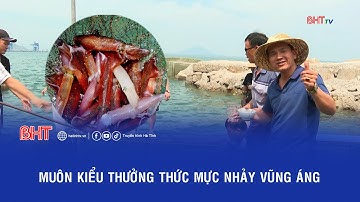 Muôn kiểu thưởng thức Mực nhảy Vũng Áng | Hà Tĩnh 24h