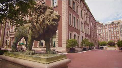 A Year Like No Other