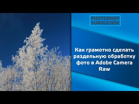 Video: Kako Oporaviti Fotografije Na Fotoaparatu