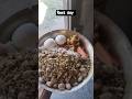 winter bulk | Day 24 | Rest Day |