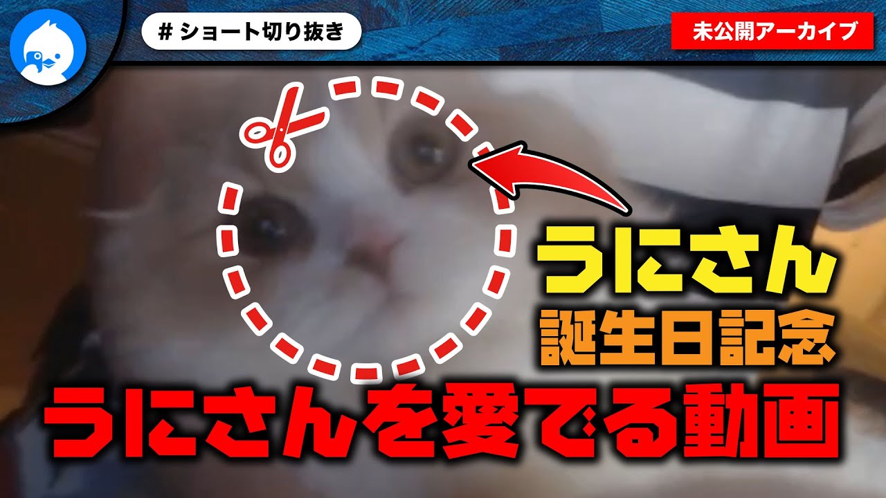 うにさん誕生日記念！1年前のうにさんを愛でる動画