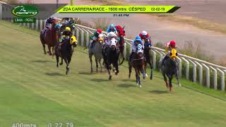 Vidéo de la course PMU HANDICAP TURF