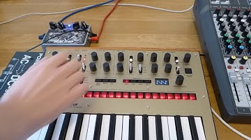 Korg Monologue & Nine Of Swords Burial At Sea