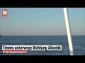 🔴 Tag 33 der Wal-Rettung: Timmy ist endlich frei! | BILD LIVE