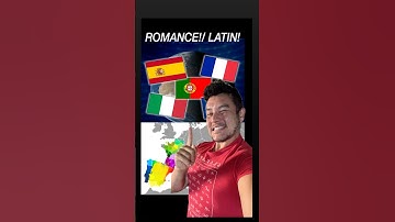 The romance language family explained