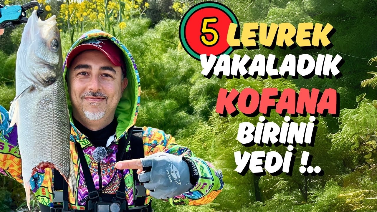 KOFANA LEVREĞE SALDIRDI !.. 4,5 Levrek Yakaladık - At çek Spin Kıyı Levrek Avı - Balık Avı Macera