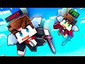 DISTRUGGIAMO un SERVER INSIEME su MINECRAFT!
