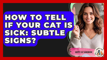 How To Tell If Your Cat Is Sick: Subtle Signs? - Happy Cat Handbook