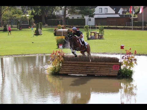 Kleines Finale 5+6j. Geländepferde - Bundeschampionate 2019 @HorsesInMotion