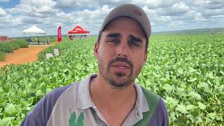 Engenheiro agrônomo Márcio Lima, administrador da Fazenda São José (Três Marias-MG)