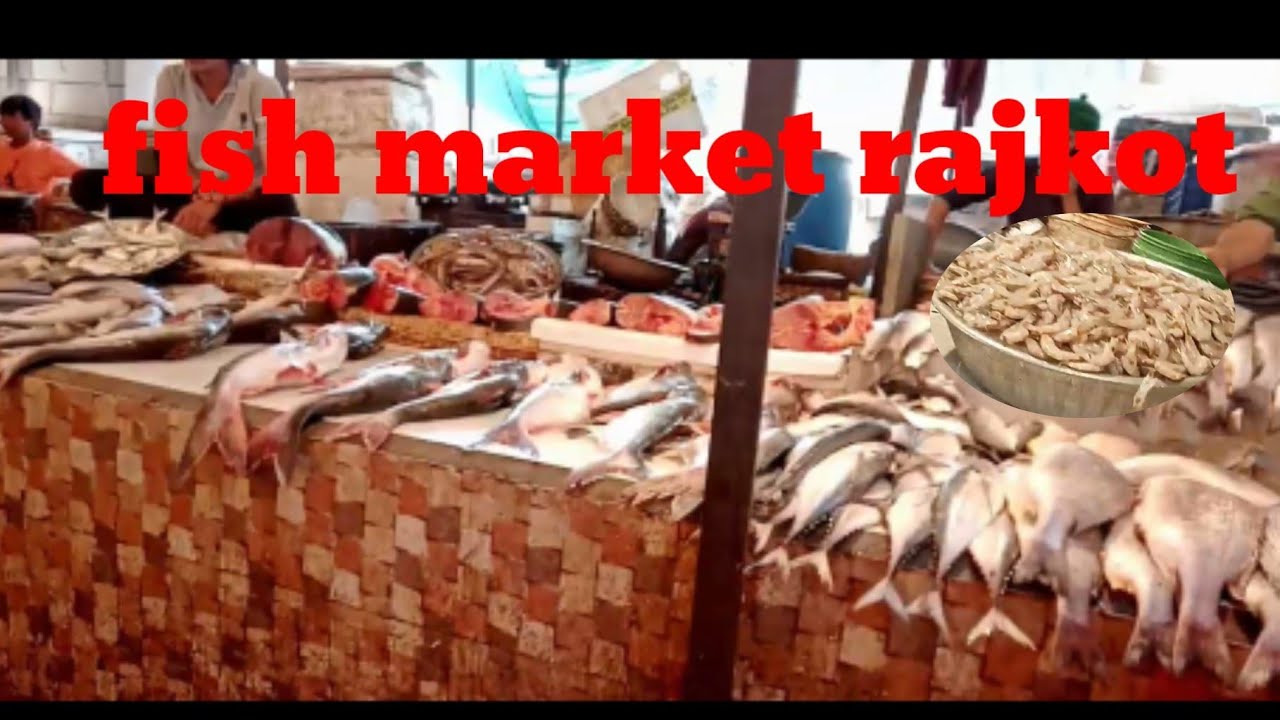 Fish Market Rajh fish market rajkot । chicken market Rajkot। Jubilee market Rajkot। teen ...
