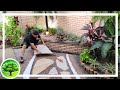 💚 DIY - DECORAÇÃO DE JARDIM 20 / JARDIM TROPICAL