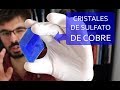 Cómo hacer cristales azules ENORMES de SULFATO DE COBRE en casa