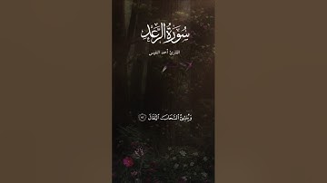 سورة الرعد تلاوة مؤثرة احمد النفيس