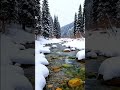 A calm river flowing through a snowy valley ❄️🌲💧