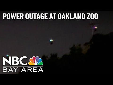 Oakland Zoo Experiences Power Outage