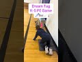 SWEET DREAMS TAG - Elementary PE Gym Game  #pegames #taggames