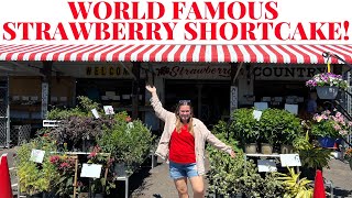 Parkesdale Market in Plant City Florida | World Famous Strawberry Shortcake!
