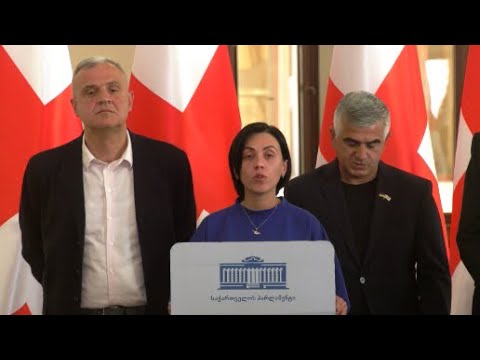 \"ნაციონალური მოძრაობის\" საკანონმდებლო ინიციატივები - ბრიფინგი პარლამენტში